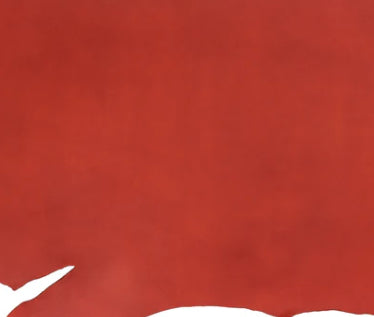 Penny Medium Crossbody Bag with Pocket